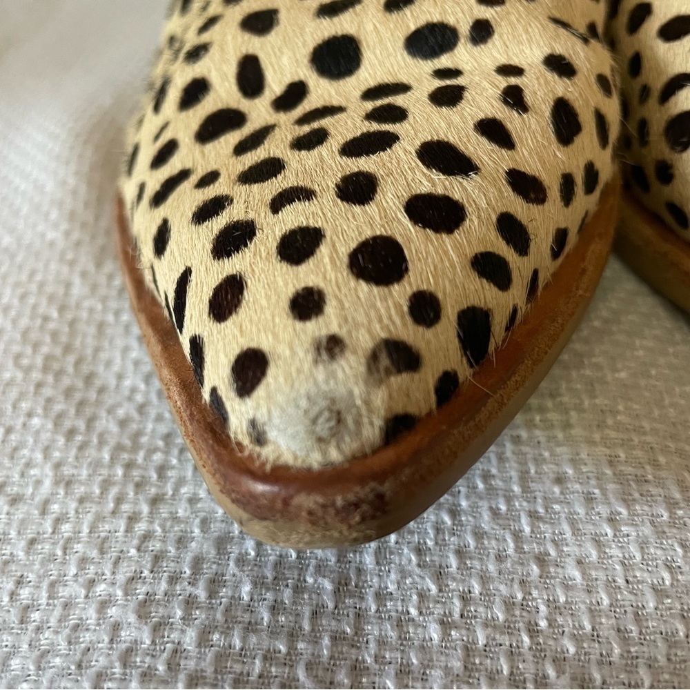 Dolce Vita Sonni Pointe bootie - Picture 6 of 12